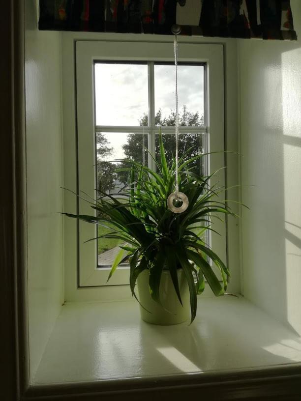 Rosengaard Holiday Apartment And B&B Bramming 외부 사진